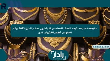 «فرصة ذهبية» نتيجة الصف السادس الابتدائي صلاح الدين 2025 برقم الجلوس تظهر إلكترونيا الآن